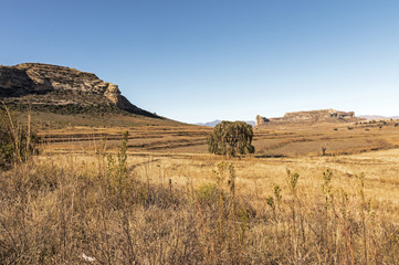 Fototapeta premium Golden cold dry winter landscape and rocky mountain against blue cloudy sky in the Orange Free State in South Africa