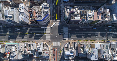 Tokyo urban street and buildings, aerial top view, Japan
