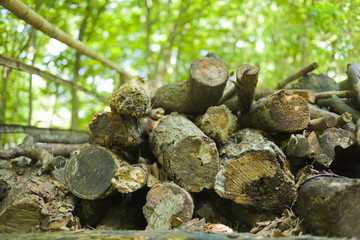 薪の山　森林