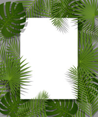 White paper on green summer tropical background with exotic palm leaves and plant. Vector floral design