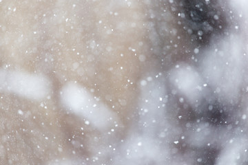 snow in the air as a background