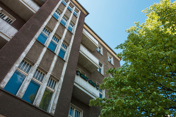 very low angle view of an brown apartment building with white lines in the facade and green tree on the right side