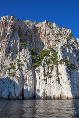 Fototapeta na wymiar White limestone rocks growth from water on Mediterranean seashore of French Provence in Calanques national park near Cassis