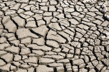 dry cracked earth