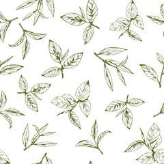 seamless pattern with green tea, hand-drawn leaves and branches of tea - 155009077