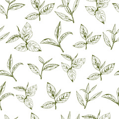 seamless pattern with green tea, hand-drawn leaves and branches of tea - 155009404