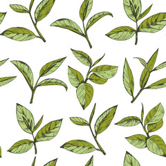 seamless pattern with green tea, hand-drawn leaves and branches of tea - 155009865