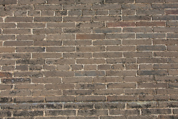 The brick wall
