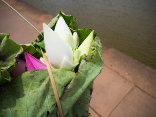 Offerings to gods in temple with flowers in Cambodia