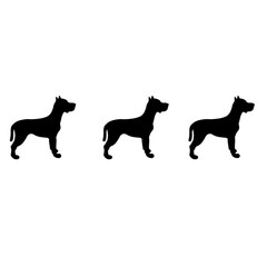 Silhouette of dogs