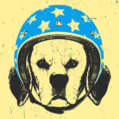 Portrait of Beagle with Helmet. Vector