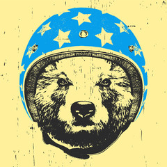 Portrait of Bear with Helmet. Vector