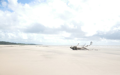 Fototapeta na wymiar Soure beach 