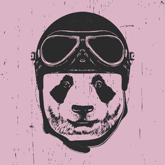 Portrait of Panda with Vintage Helmet. Vector