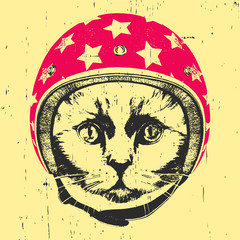 Portrait of Cat with Helmet. Vector