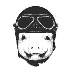 Portrait of Piggy with Vintage Helmet. Vector