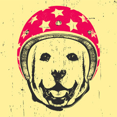 Portrait of Labrador with Helmet. Vector