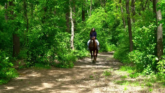 Young brunette woman riding a horse in the forest