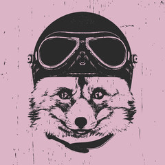 Portrait of Fox with Vintage Helmet. Vector