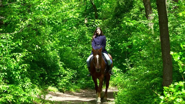 Young brunette woman riding a horse in the forest during the summer