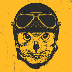 Portrait of Owl with Vintage Helmet. Vector