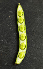 Bean pod on black background