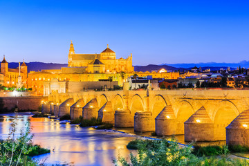 Cordoba, Spain. The Roman Bridge and Mosque (Cathedral) on the Guadalquivir River.