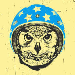 Portrait of Owl with Helmet. Vector