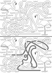 Fototapeta premium Flamingo maze