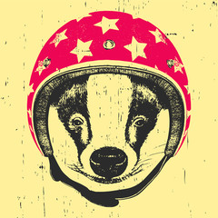 Portrait of Badger with Helmet. Vector