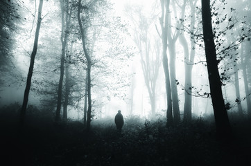 man silhouette in scary forest scenery