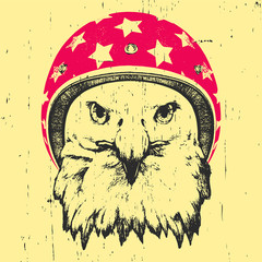 Portrait of Eagle with Helmet. Vector