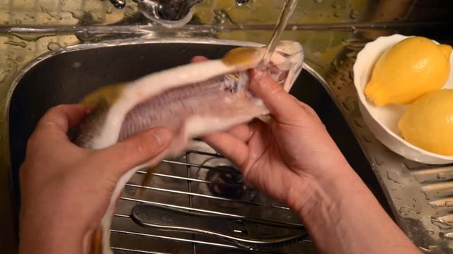 Washing and cleaning of fish.