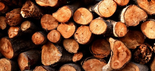 pile of old firewood