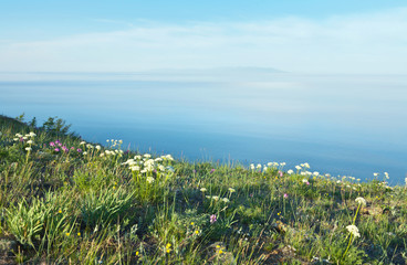 Lake Baikal in summer. The blossoming shore of the Olkhon Island. Wild flowers and motley grass near Cape Khoboy on a June day