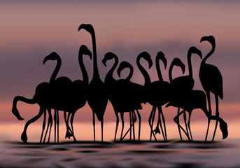 Naklejka premium flamand rose - échassier - oiseau - Afrique - sauvage - fleuve - nature - étang