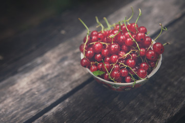 Red currants in bowl on rustic wood background, closeup