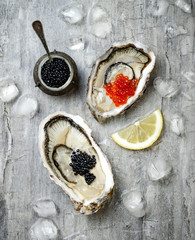 Opened oysters with red salmon and black sturgeon caviar and lemon on ice on grey concrete background. Top view, flat lay, copy space