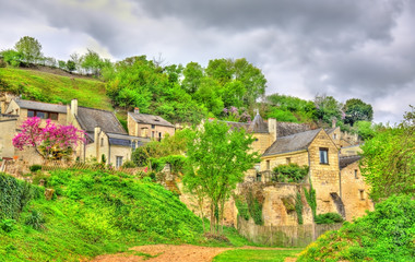 Fototapeta na wymiar Landscape at the Chateau de Montsoreau on the bank of the Loire in France
