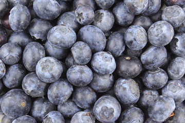 fresh blueberry fruits closeup food background texture