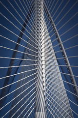 Seri Wawasan Bridge is a cable-stayed bridge. The main span, 165m long, is supported by 30 pairs of forward stay cables.