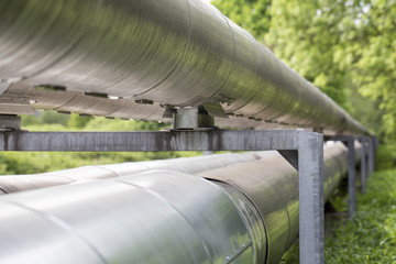 pipelines in a forest