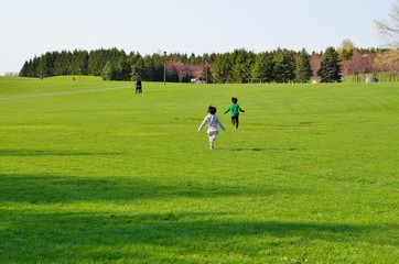 Obraz premium 人工の山がある広大な日本の公園