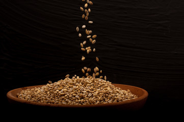 Whole grain of pearl barley or wheat spill on right black background. Agriculture food raw seed.