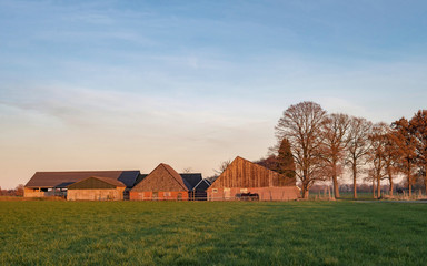 Obraz premium Shed and barns in dutch rural autumn landscape lit by low sunlight.