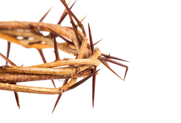 Crown of thorns isolated