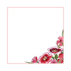 Obraz premium Wildflower carnation flower frame in a watercolor style isolated.