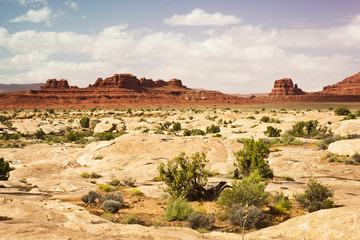 Fototapeta na wymiar Southwestern Desert Vista of Mesas, Buttes, and Slickrock