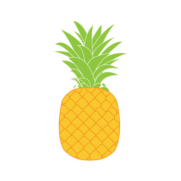 pineapple isolated vector