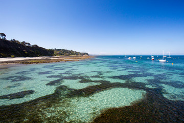 Fototapeta na wymiar Flinders Back Beach